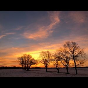 Meet your Posher, Keegan